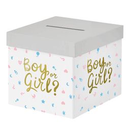 BOX Kluk nebo holka? 20x20cm