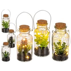 Dekorativní baňka s rostlinou a LED světýlky 8 x 17 cm