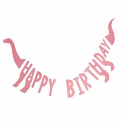 Girl Dino party - Girlanda "Happy birthday"  růžová 27 cm x 137 cm