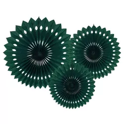 Rozety tmavě zelené, 20-30 cm, 3 ks